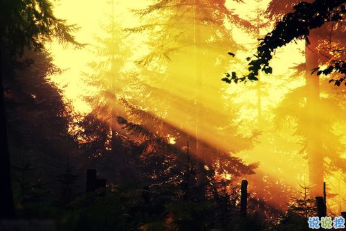 女生跟男朋友撒嬌的說(shuō)說(shuō)帶圖片 女生寫(xiě)給男生的可愛(ài)情話10