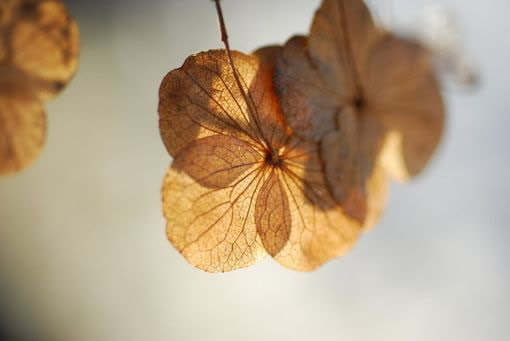 關(guān)于愛(ài)情感情的感悟有哲理深意的精辟說(shuō)說(shuō)帶圖片10