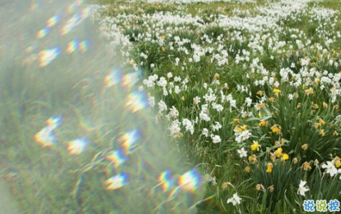 16條適合發(fā)朋友圈的旅行句子配圖 旅行句子表達(dá)心情短語(yǔ)最新版5