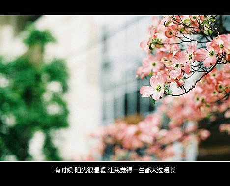 超傷感難過悲傷的愛情說說 你是我枯水年紀(jì)里的一場(chǎng)雨3