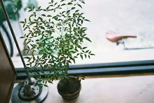 讓人難過傷感愛情說說帶圖片 差一點(diǎn)就抱住他了我再睡一會兒試試8