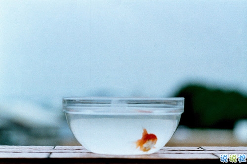 12月你好唯美說說簡短一點的帶圖片 2018十二月你好說說最新發(fā)朋友圈的3