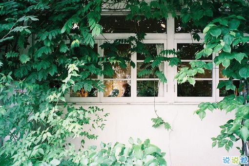 一個(gè)人獨(dú)處時(shí)候的孤獨(dú)是什么感覺(jué)呢？6