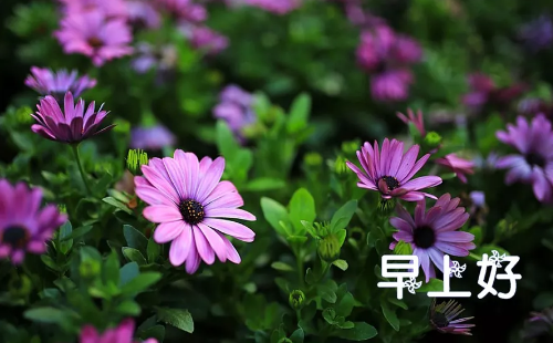 2018早安語(yǔ)錄正能量語(yǔ)句每天一句 微信早安語(yǔ)錄正能量滿滿1