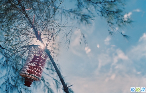 文字控偏愛(ài)的文藝小清新簡(jiǎn)單的唯美句子帶圖片2