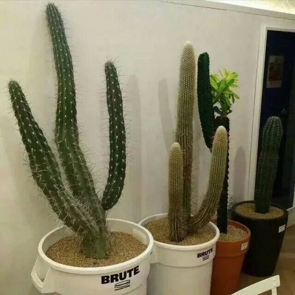 現(xiàn)實(shí)人生成長(zhǎng)的哲理精辟個(gè)性說說帶圖片 希望一切剛剛好過了黎明就是破曉11