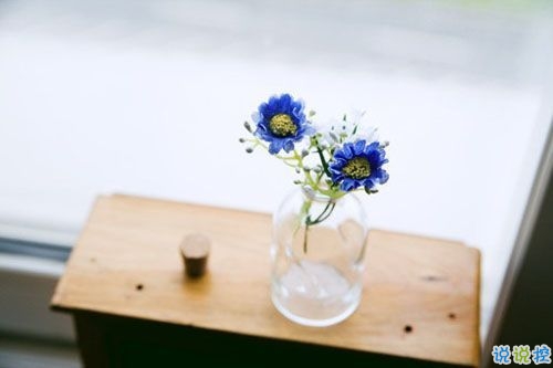 人生經(jīng)典名言說說大全帶圖片 積極向上的哲理說說配圖關(guān)于人生和成長4