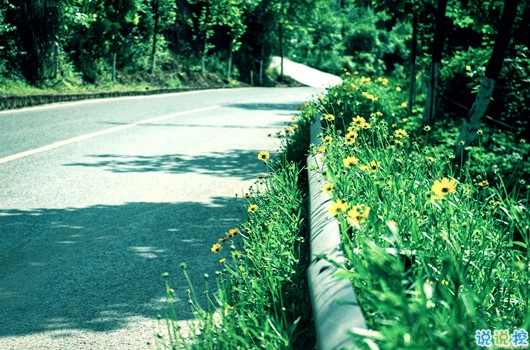 生活說說很現(xiàn)實(shí)的說說2018心情短語 穿透人心的說說簡短一句話1