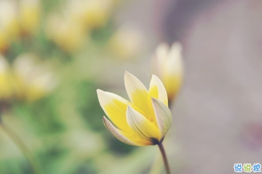 2019二月再見三月你好說說經(jīng)典勵(lì)志 三月你好微信早安句子2