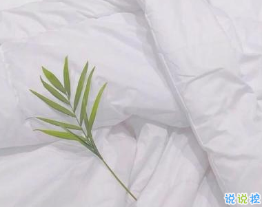 描寫春天的唯美句子帶圖片 2019適合春天的微信說(shuō)說(shuō)句子13