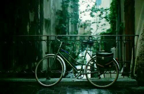 關(guān)于愛情的簡單有哲理的句子帶圖片 不要貪心找到那個對的人就第一時間決定吧13