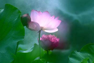 在夢里也會潸然淚下的說說帶圖 如果時光倒流峩捫能抓得住什么10