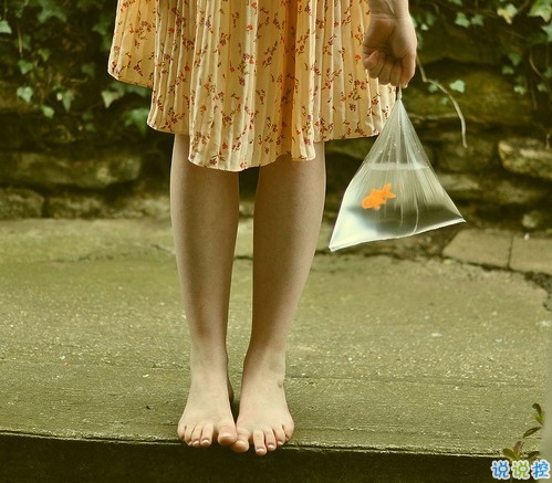 顧城詩(shī)一般的句子關(guān)于人生的經(jīng)典語(yǔ)錄 唯美文藝的句子顧城經(jīng)典語(yǔ)錄大全2