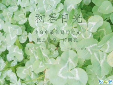 2019年第一天微信早安說說 豬年早安說說大全1