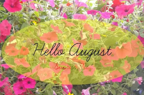 再見七月八月你好圖片說說2018最新版 唯美好聽的八月你好說說配圖1