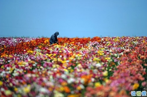 2019女生節(jié)微信說說大全帶圖片 三七女生節(jié)朋友圈祝福語說說11