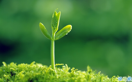 很特別的早安說說大全帶圖片 朋友圈早安心語(yǔ)獨(dú)一無(wú)二吸引人7