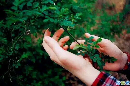 有點(diǎn)傷感的愛(ài)情說(shuō)說(shuō)帶圖片 失去一個(gè)人后是什么感覺(jué) 10