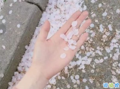 抖音上熱門說(shuō)說(shuō)大全 抖音最火個(gè)性說(shuō)說(shuō)絕對(duì)精辟2