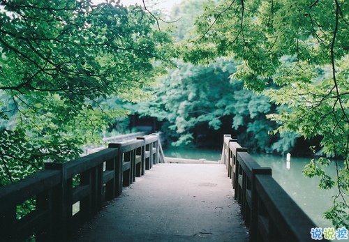 學(xué)會(huì)堅(jiān)強(qiáng)堅(jiān)持自己的夢(mèng)想的個(gè)性說(shuō)說(shuō)帶圖片 要堅(jiān)強(qiáng)走下去的說(shuō)說(shuō)發(fā)朋友圈14