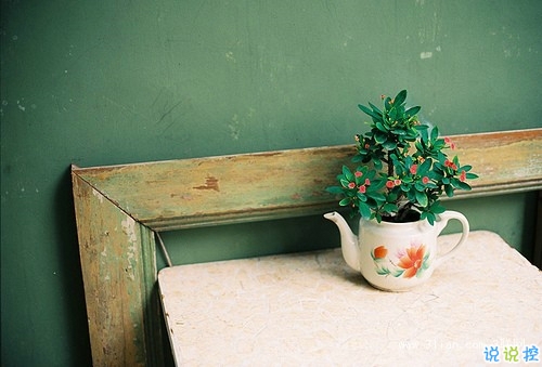 2019清明節(jié)祭奠親人的說說短句 祈禱天堂的親人們幸?？鞓?