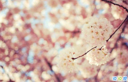 適合這個(gè)年紀(jì)發(fā)的說說朋友圈 簡(jiǎn)單又走心的心情說說引人共鳴1