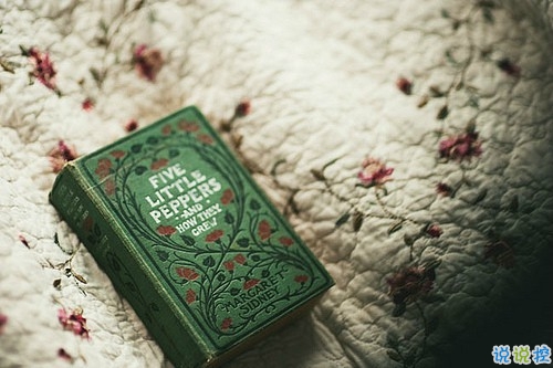 陽(yáng)光簡(jiǎn)短的唯美勵(lì)志短句子 勵(lì)志句子寫給自己的心靈雞湯1