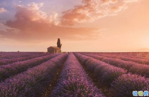 很扎心但很有道理的勵(lì)志說(shuō)說(shuō)帶圖片 激勵(lì)人心的很現(xiàn)實(shí)的一句話說(shuō)說(shuō)4