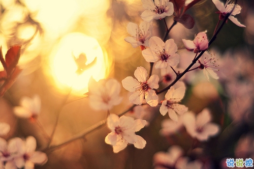 迎接2019的說說滿滿正能量帶圖片 與2018說再見用雙手去擁抱20195