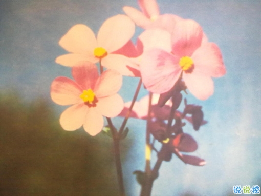 個人最欣賞的古詩詞合集 唯美古詩詞說說心情短語2