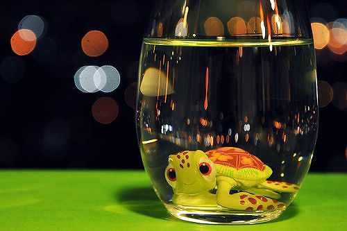 關(guān)于愛情每個人都會知道的精辟內(nèi)涵說說帶圖片 想與他這樣慢慢變老也許這就是愛情吧11