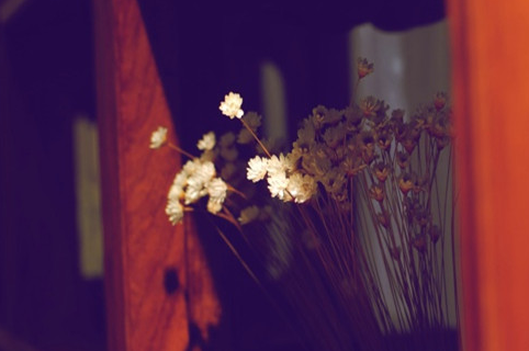 致自己的加油說(shuō)說(shuō)：勇于開(kāi)始，才能找到成功的路。2