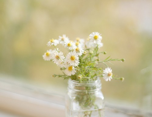 時(shí)間告訴我們的一些經(jīng)典哲理句子 正能量的句子經(jīng)典語(yǔ)句1