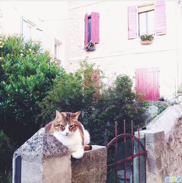 戀愛時的甜蜜小情話溫柔的句子帶圖片 我奔向你就像奔向未來16