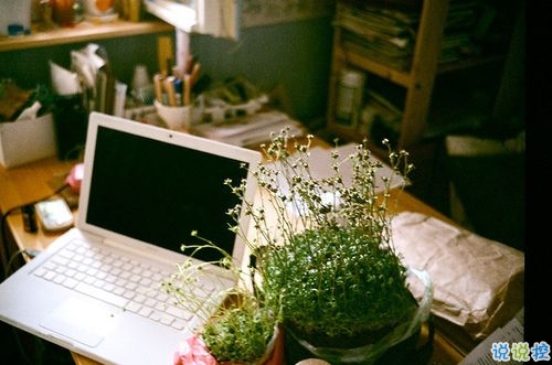 只想說給你聽的小情話帶圖片 你笑時雷聲溫柔暴雨無聲5