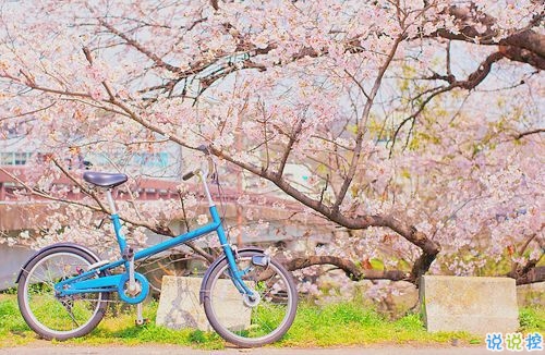 2019非主流經(jīng)典愛情說說帶圖片 很打動人的一些愛情真理10