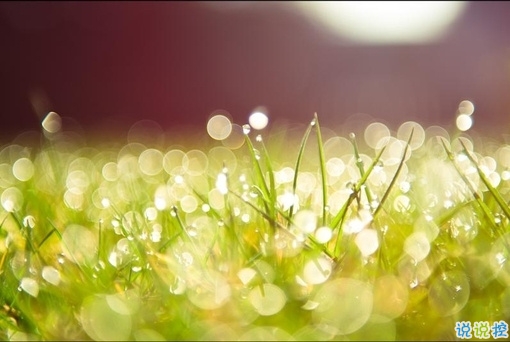 讓你爆笑的幽默有趣的句子 2019最流行搞笑說說逗比專屬2