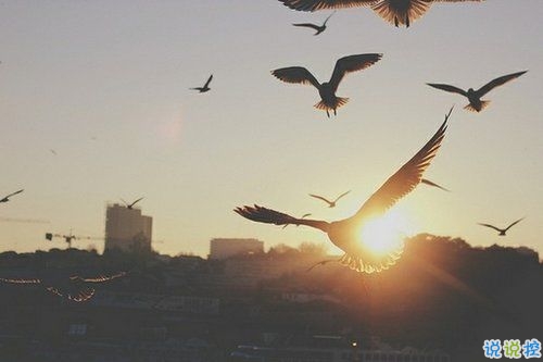 勵(lì)志積極的朋友圈說(shuō)說(shuō)帶圖片 送給那些迷茫的90后00后11