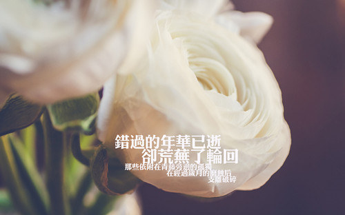 朋友圈用歌詞表達(dá)心情的傷感說說 歌曲表達(dá)傷感心情說說配圖12