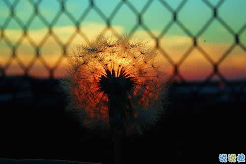 30條有道理的經典說說 簡短但是道理深刻的句子大全1