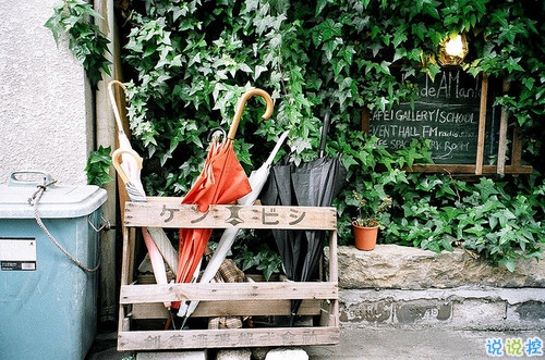 對(duì)愛一往情深的經(jīng)典說說帶圖片 文藝愛情小短句表達(dá)愛意14