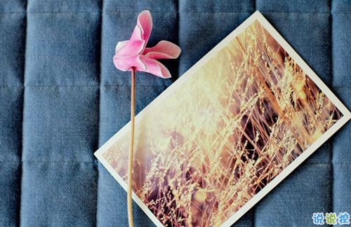 美好愛(ài)情說(shuō)說(shuō)心情短語(yǔ) 經(jīng)典愛(ài)情語(yǔ)錄甜甜蜜蜜2