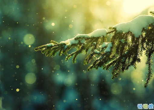 女生傷感說(shuō)說(shuō)帶圖片心情低落 越想越心痛的難過(guò)說(shuō)說(shuō)大全12