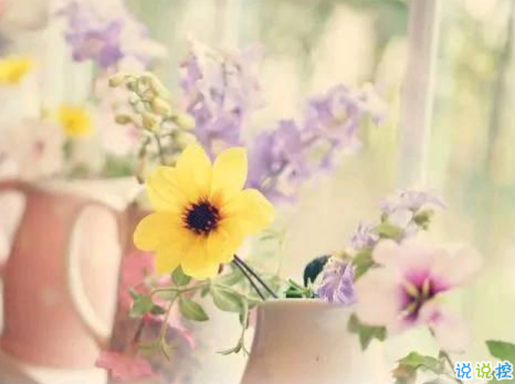 生活很苦很累的個性說說配圖 一個人撐得好辛苦經(jīng)典說說帶圖片6