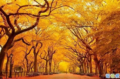 今日立秋圖片說說2018最新版 立秋的經(jīng)典說說帶圖片精選2