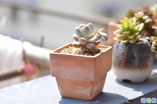 抖音比水還干凈的句子唯美又文藝 遺憾的是從沒被堅(jiān)定的選擇過1