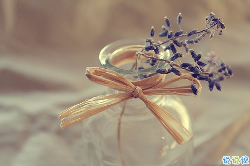 2018十一月你好說(shuō)說(shuō)大全唯美好聽(tīng)?zhēng)D片 十一月你好早安說(shuō)說(shuō)大全9