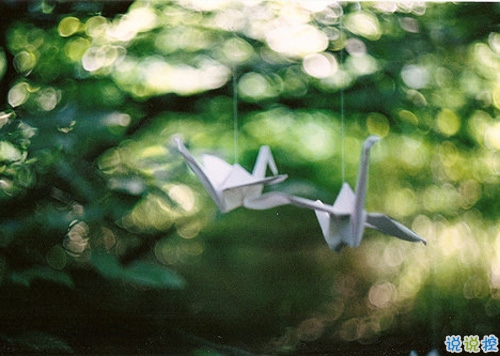 七夕寫給喜歡的人的告白說(shuō)說(shuō) 情人節(jié)七夕表白的經(jīng)典愛(ài)情說(shuō)說(shuō)大全2