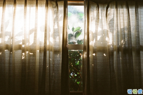 2019元宵節(jié)情話說(shuō)說(shuō)溫暖打動(dòng)人 比較適合表白的句子帶圖片2