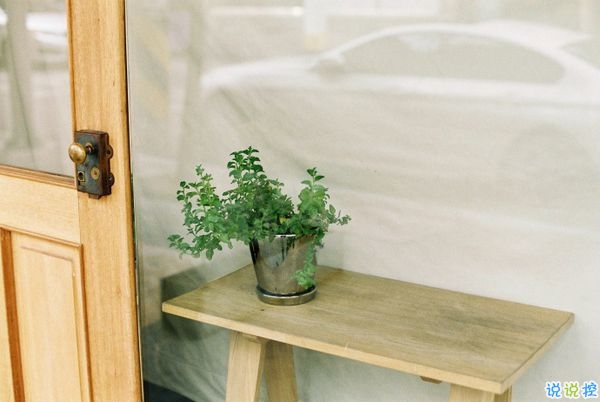 網易云音樂熱評語錄短語精選2019 我勸你早點喜歡我免得浪費時間2